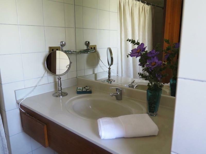 Renta Suite Menorca Santiago de Chile Zewnętrze zdjęcie